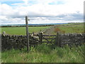 Bridleway north of Woodland