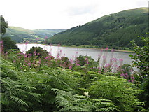 SO1018 : Talybont Reservoir, glimpsed from the Taff Trail by Gareth James