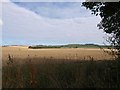 Towards Beacon Hill Farm