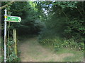 Footpath junction on Acton Lane