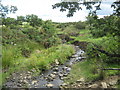 Linburn Beck