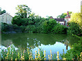 Pond by Moreton Hall public house