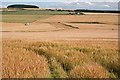 Looking towards Dykehead Smithy