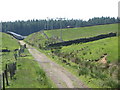 Trackbed of the former Rookhope-Westgate railway (2)