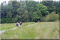 Footpath Through the Park