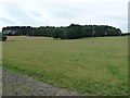 Woodland and pasture