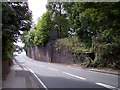 Railway bridge abutments on Reginald Road