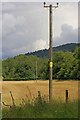 SD3199 : Electricity Transmission Poles, Near Low Yewdale by Mick Garratt