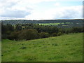 Rough  grazing  and  Stonely  Woods