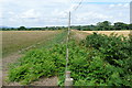 Farmland at Woodgate