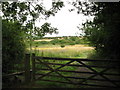 Lavernock Point nature reserve