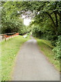 Canal path alongside former Tredegar Lock