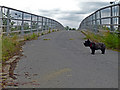 Bridge over the A19