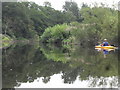 The River Severn Below Big Wood