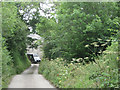 Lane west of Wyses Englebourne