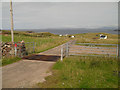 Cattle grid by Culkein