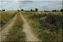 SP0843 : Field track, Bretforton by Philip Halling