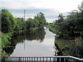 Montgomery Canal looking north from Gallowstree Bank bridge