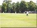 County Cricket Match at Queen