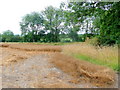 Arable field edge by the Marsh Brook