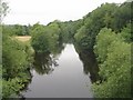 River Wharfe - Linton Bridge