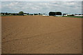 Market gardening at Offenham