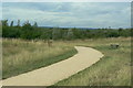 Pathway in Bestwood Country Park