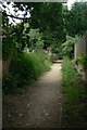 Footpath near Bestwood Lodge