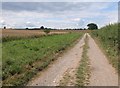 SU1636 : Bridleway to Down Barn by Derek Harper
