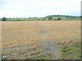 Footpath through stubble