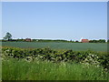 Fields towards Orchard House