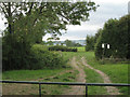 Track towards the Severn