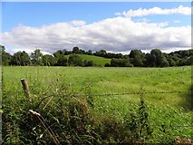 H5527 : Conaghy Townland by Kenneth  Allen