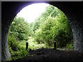 SK7425 : Inside Scalford tunnel by Richard Green