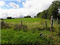 Eshekerin Townland