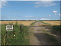 Footpath to the Chislet Marshes