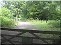 Footpath, Hammond?s Copse, Parkgate