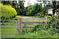 Surviving fields, Banbridge (5)