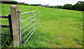 Surviving fields, Banbridge (6)