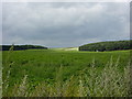 Fields north of the track