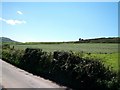 A mown meadow to the west of the Sarn Meyllteyrn road