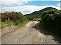 Farm lane to Garreg Lwyd