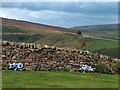 View towards Ponden Clough from Upper Heights Farm