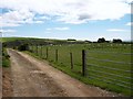 Bridleway eastwards from Rhos-ddu to Nant Llaniestyn