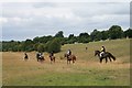 TQ2158 : Epsom Downs: horses in training by Hugh Craddock