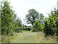 2010 : Permissive path and woodland, Poulshot