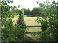 Stile on Saxon Shore Way near Boyden Gate