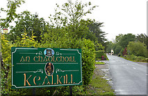W0455 : Village sign, Kealkill by Eileen Henderson