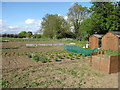 Allotments at Isleham