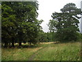 Abandoned field off Clay Lane